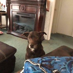 Meet your Posher, Larry